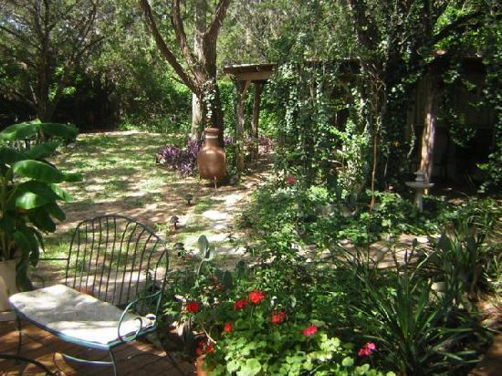 Casa Del Sol Bed And Breakfast Lakeway Phòng bức ảnh